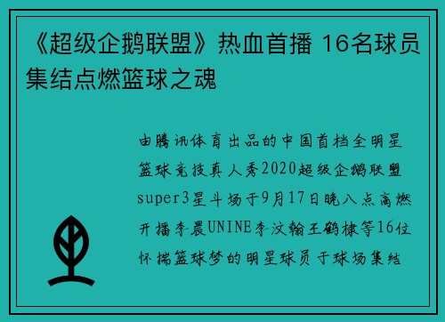《超级企鹅联盟》热血首播 16名球员集结点燃篮球之魂